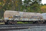 NS 167384